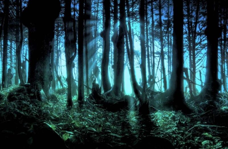 Green Screen Examples Twilite Music Services